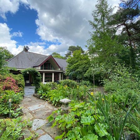 Sjieke Gezellige Villa In Het Bos Lieshout Exterior foto