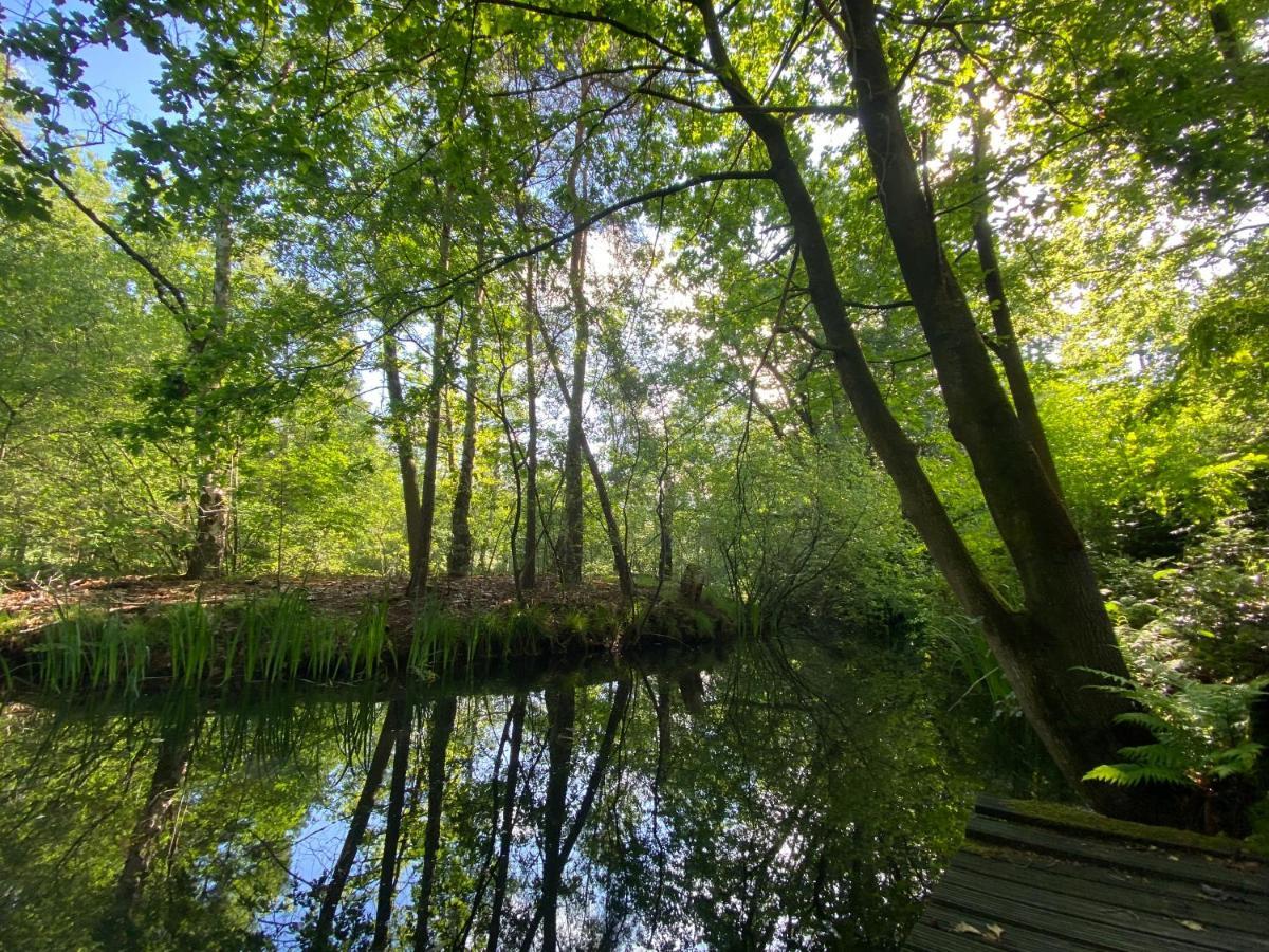 Sjieke Gezellige Villa In Het Bos Lieshout Exterior foto